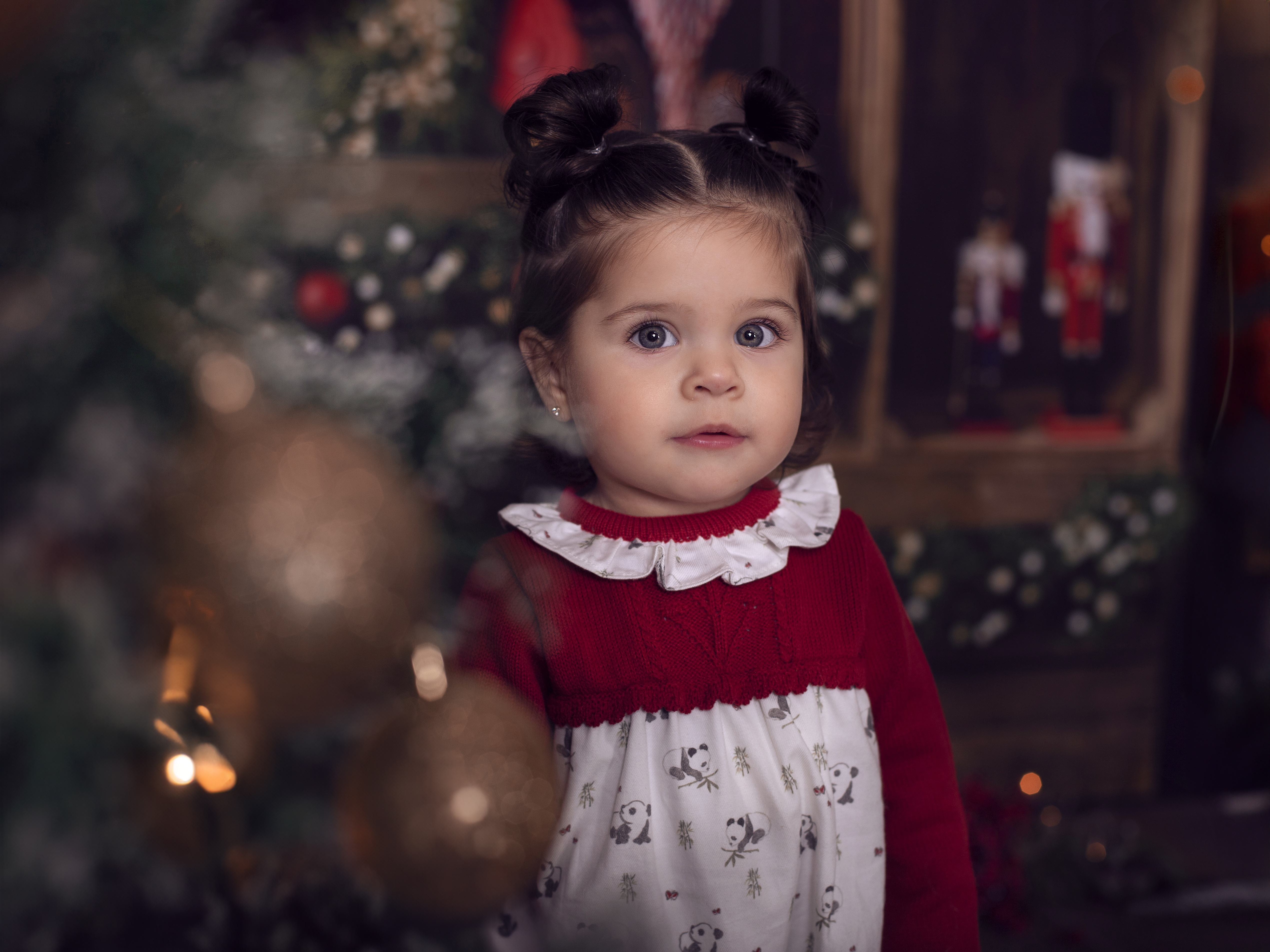 Foto artística navidad en estudio